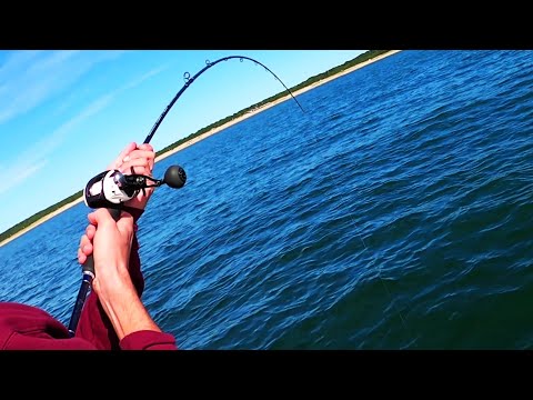 Jig Fishing Tutorial Trip - INSANE Bite Near Beach Double+ Limit!