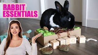 EVERYTHING YOU NEED FOR A RABBIT | The Complete Starter Pack