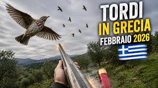 L’ULTIMO MESE dei TORDI in Grecia 🇬🇷 … GIORNATA DI CACCIA INDIMENTICABILE