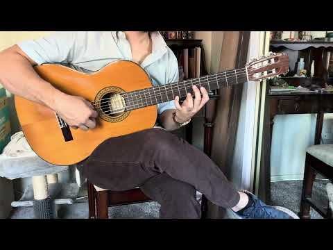 Ryoji Matsuoka 1980 Model 30 Cedar and Rosewood Classical Guitar image 17