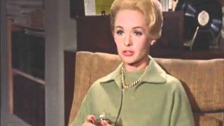 (section 5)_bus_to_bondi - Midnight Oil