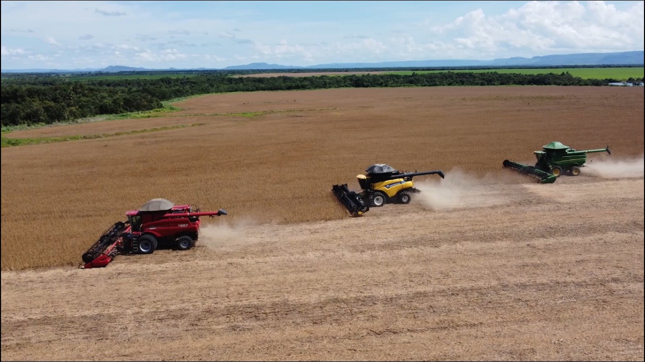 22 Fevereiro – Domingo