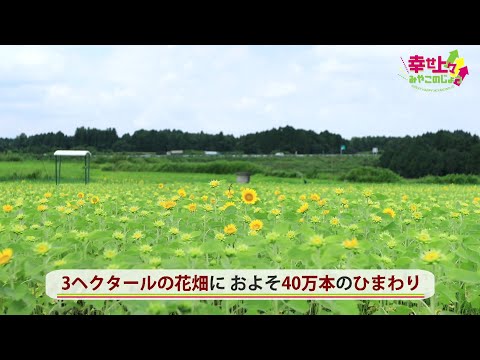 2023年7月19日(水)放送 第16回 南部ふれあい広場とひまわり畑