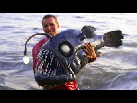20 Terrifying Seas Creatures that Actually Exist