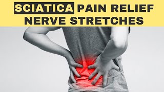 Sciatica PAIN Relief Nerve Stretches and Nerve Floss for Low Back Pain & Leg Pain Dr. Matthew Posa