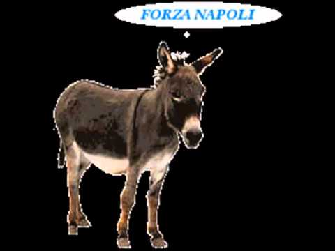 'E Zezi - La cilentana