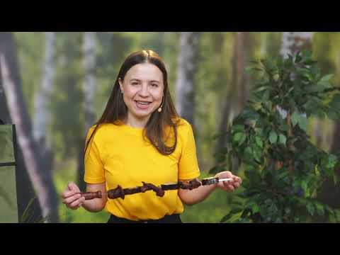 BEM ADANA Премиум шампуры для барбекю 6 штук с сумкой