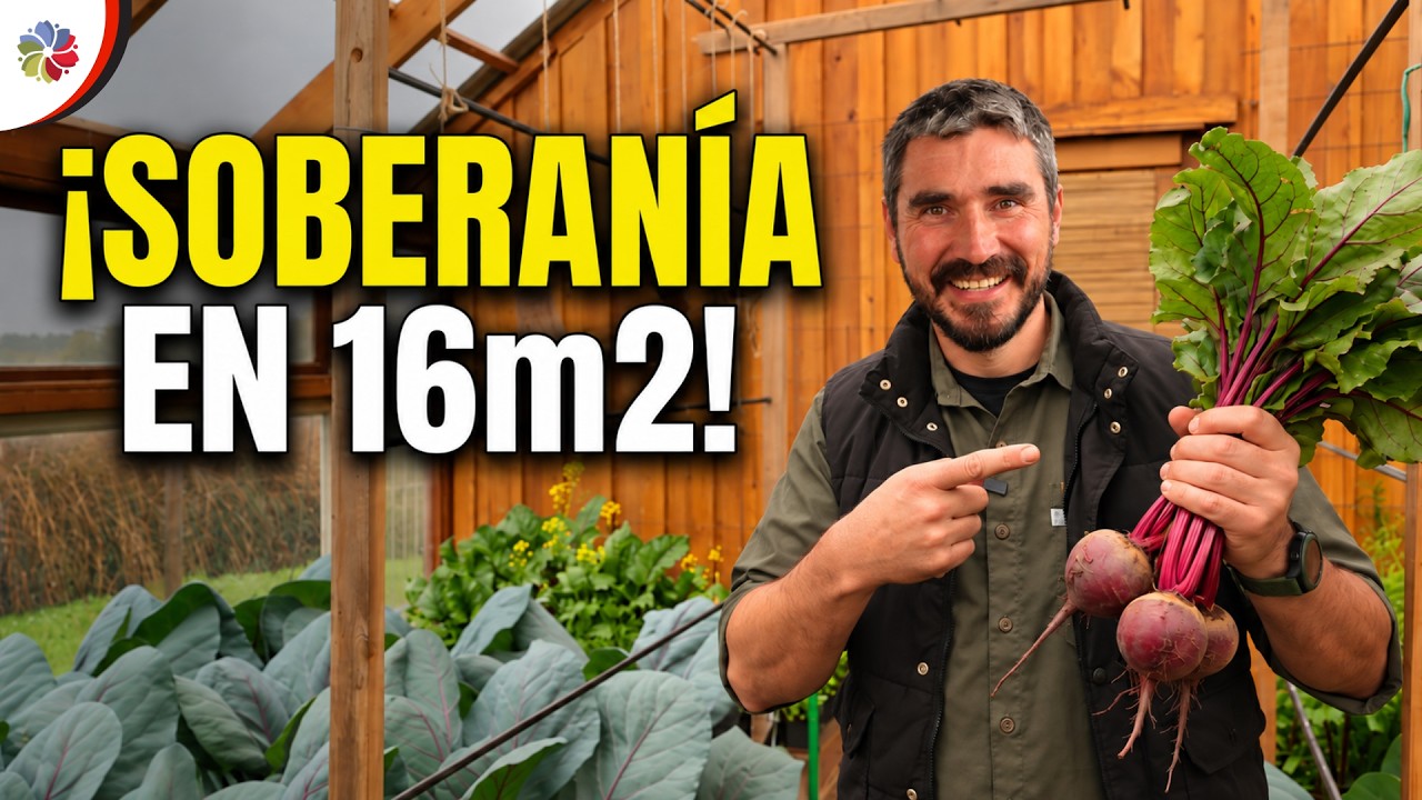 Soberanía alimentaria en un PEQUEÑO INVERNADERO de 16m2 - Mini Granja 👨‍🌾