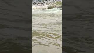 Download lagu 7 July 2022 mp3