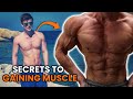 Secrets Of Building Muscle You Have Never Heard Of