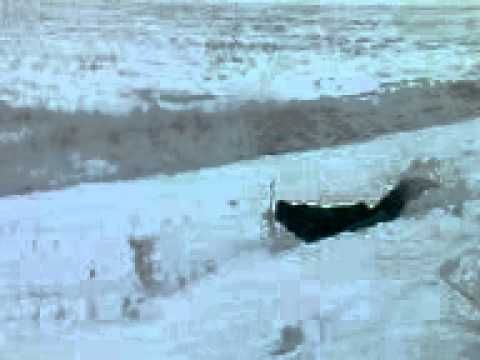 Müllsack Rodeln in Dreye :D Part 2 :D