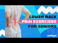 Lower Back Pain Exercises For Seniors