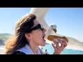 Best Fails Of The Week Try Not To Laugh