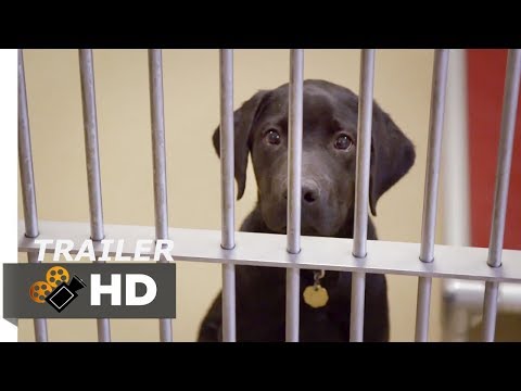 Pick of the Litter Official Trailer #1 | Clips&Trailers