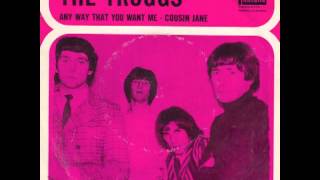 The Troggs Any Way That You Want Me