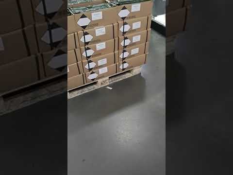 O Armazém do Esportista tem munição em estoque.