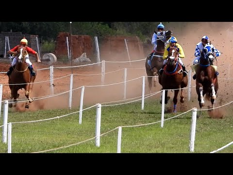 CAROZO CARVER - CAMPEON "POLLA ESPECIAL de VELOCIDAD - 365m - 26/02/2023 - Hipódromo Artigas