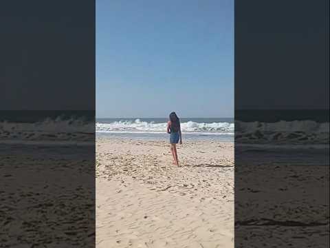 praia de Palmas de Governador Celso Ramos Santa Catarina Florianópolis