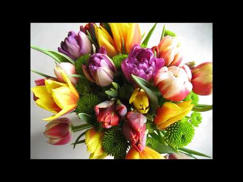 Heute will ich dankbar sein