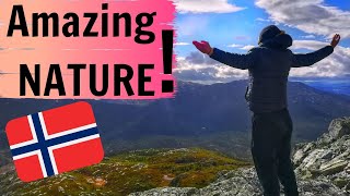 preview picture of video 'HIKING in South-East NORWAY - Mountain HIMINGEN 1066m - Hiking in TELEMARK'