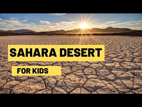 Sahara : The Largest Desert In The World | Lesson For Kids