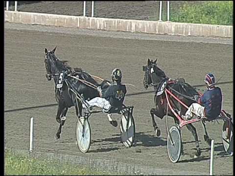 Trotto 02/06/2016 - 5° corsa