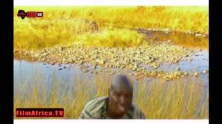 Download lagu Abafana Basemawosi - Ubobuya Ekhaya mp3 Download lagu Abafana Basemawosi - Ubobuya Ekhaya mp3