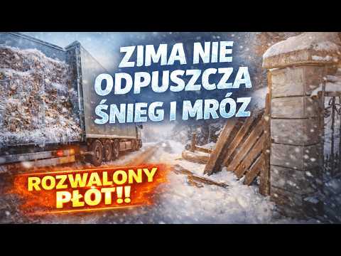 ❄️ FROZEN CHIPS ON THE TRAILER! Drama during unloading