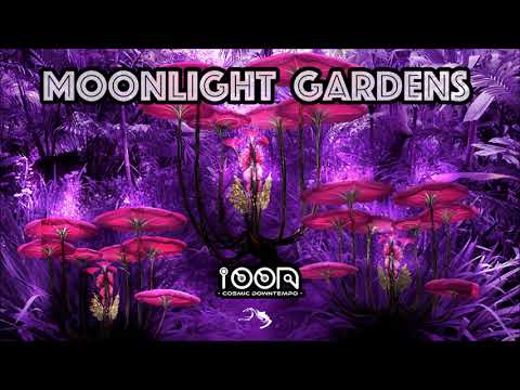 Ioon Cosmic Downtempo - Moonlight Gardens [Full Album]
