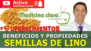 Semillas del lino PROPIEDADES y beneficios. Cómo tomarlas correctamente | Medicina Clara