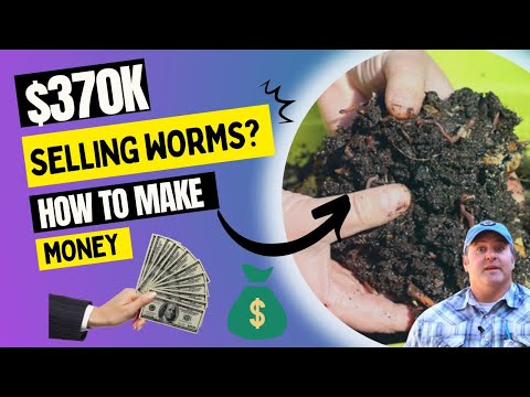 , title : '$370K Selling Worms? | How to Make Money With Worm Farm |  Worm Farming For Profit Review'