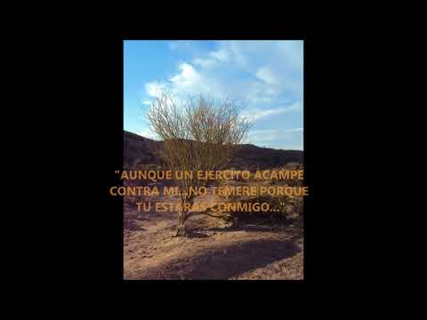"Aunque mis ojos" Grupo Los Lirios