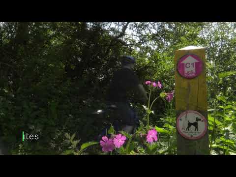 Kingsbury Water Park Cycle Routes