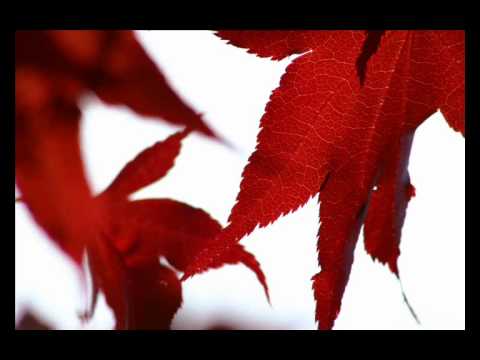 Dj DyF - I Love Latino -  Live @ Versailles Paris 2004 - xxx mix