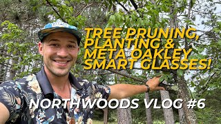 Expedition Northwoods #6 - Reviving a DYING Tree, Planting Perennials, and NEW Meta Oakley Glasses!!