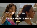 O Re Piya X Maula Mere Maula Mashup | revibe | Viral Insta Reels, TikTok Remix | Madhuri Dixit |
