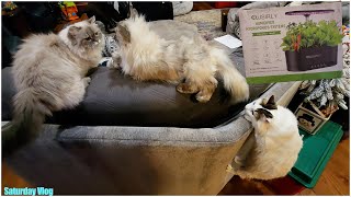 Custom Cat Clone & New Hydroponic Systems || Saturday Vlog