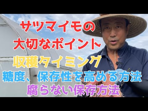 野菜の収穫: 適切な時期を見つける方法 庭の練習