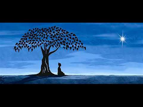 mantras una caricia para el alma