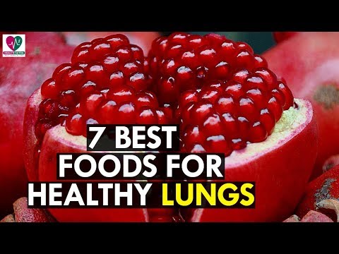download lagu mp3 mp4 Best Food For Lungs Patient, download lagu Best Food For Lungs Patient gratis, unduh video klip Best Food For Lungs Patient
