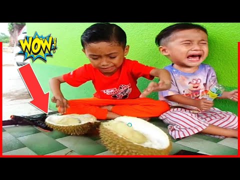 Amin And Brothers Pretend challenge enjoy king Fruits 🍑