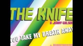 The Knife: You Take My Breath Away (Puppetmasters Remix)