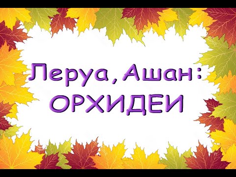 ЛЕРУА,Ашан:ЗАВОЗ прекрасных ОРХИДЕЙ,30.10.20,ТЦ "Космопорт",Самара.
