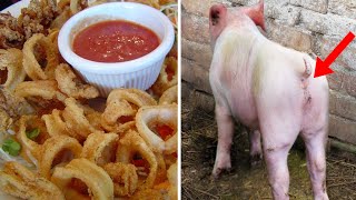 11 Most Disgusting Foods Westerners Eat