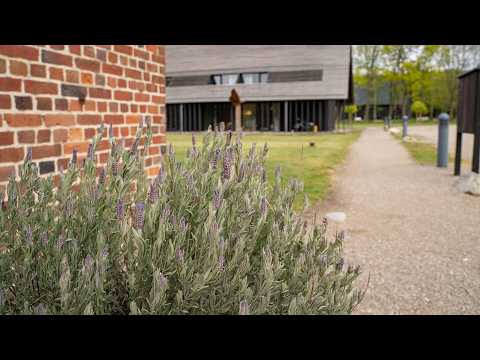 Nørre Vosborg Herregård, Vemb, Denmark | Travel With Rohini