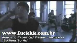 agnostic front   so pure to me com freddy   madball.mp4