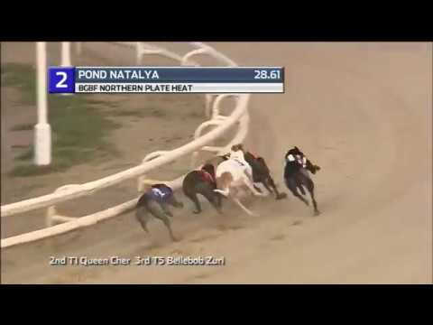 2019 BGBF NORTHERN PLATE - HEAT 2 - T2 POND  NATALYA