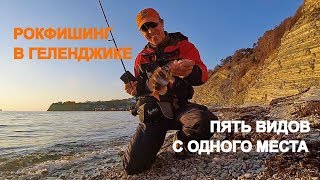 Рыбалка в дивноморске с берега на спиннинг