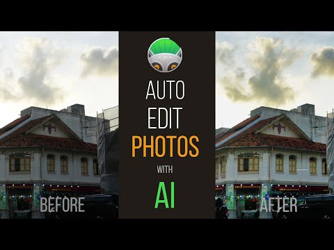 Photo Lemur 3.Automatic Photo Editor with AI. Does it Work?