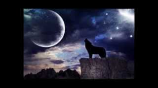 Kill Myself By: Tim McGraw &amp; Lyrics